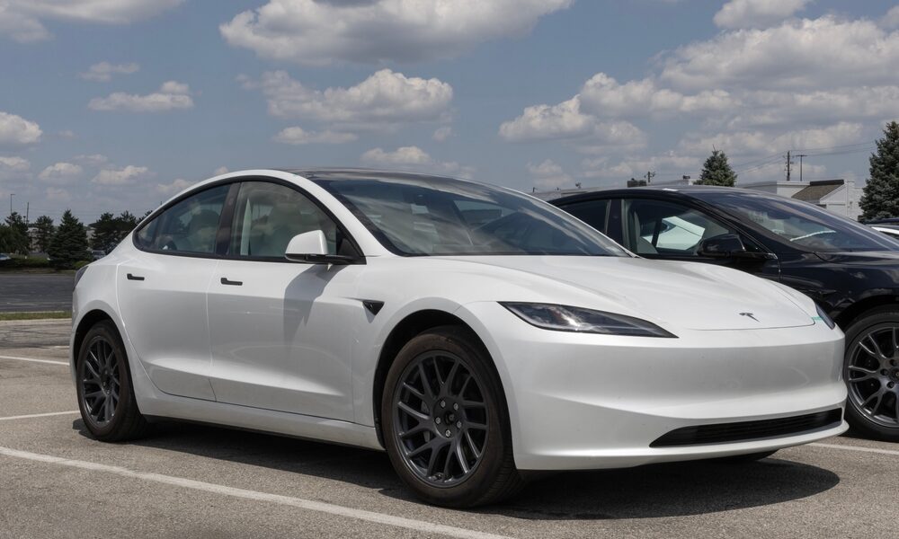 Tesla vit