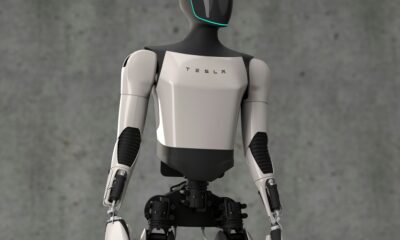 Tesla robot