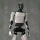 Tesla robot