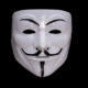 Anonymous / hacker