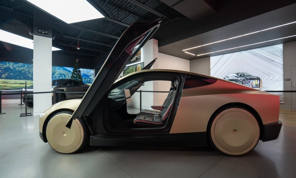 Tesla taxi