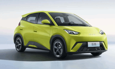 Byd Dolphin Surf