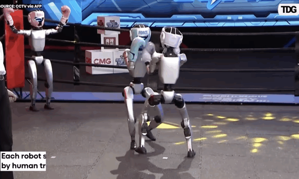 Robotar i ringen