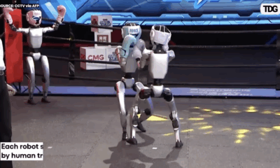 Robotar i ringen