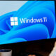 Windows 11
