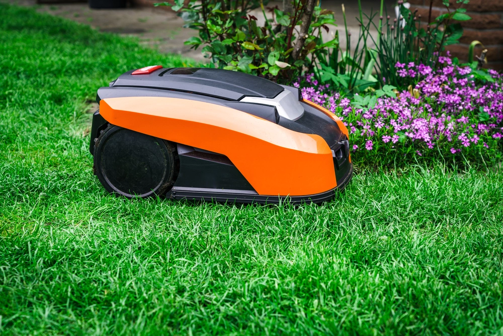 Tänk efter innan du köper – 10 saker att veta om robotgräsklippare