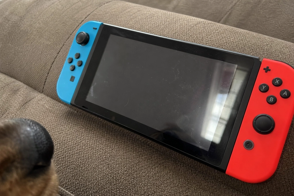 Nintendo har ett ovanligt råd till alla hundägare med en Switch